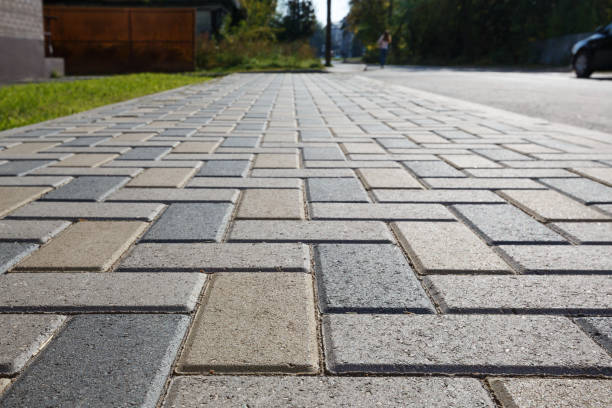 Best Driveway Paving Contractor  in Pea Ridge, FL
